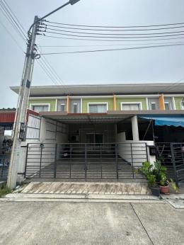 หมู่บ้านแฟมิลี่ซิตี้.  พานทอง