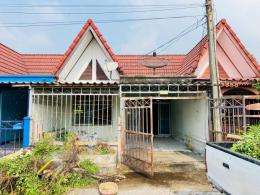 หมู่บ้านอีสเทิร์นแลนด์ นาป่า