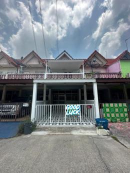 หมู่บ้านอีสเทิร์นแลนด์. นาป่า